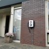 Alfen Single Pro-Line vaste kabel 22kW - Afbeelding 3